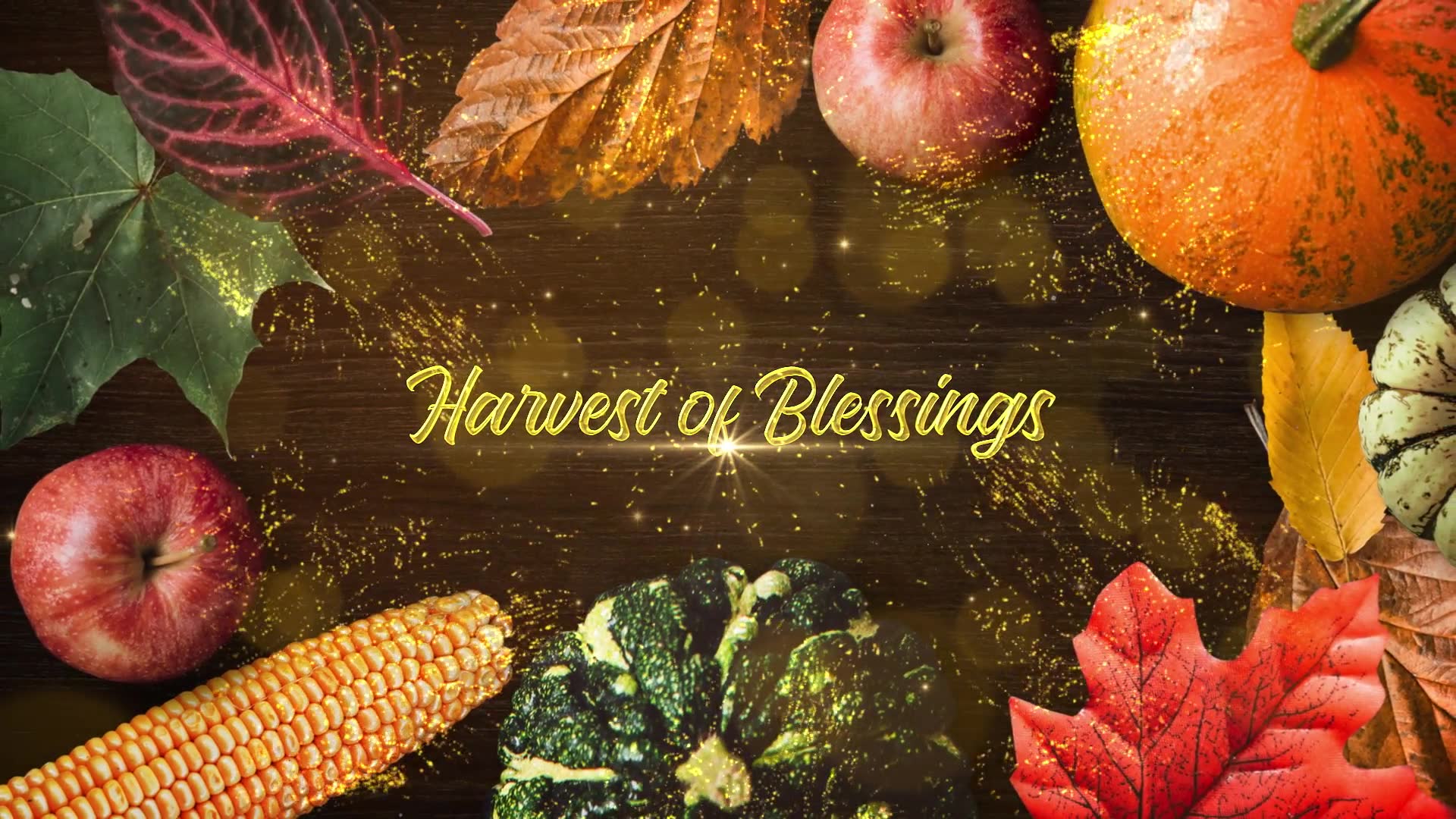 Thanksgiving Wishes Apple Motion Videohive 29102614 Apple Motion Image 3