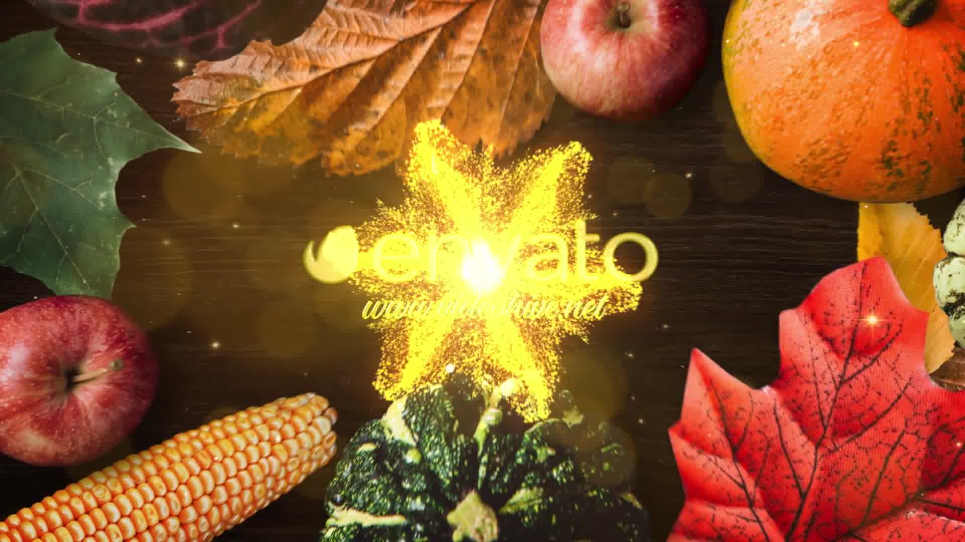 Thanksgiving Wishes Apple Motion Videohive 29102614 Apple Motion Image 9