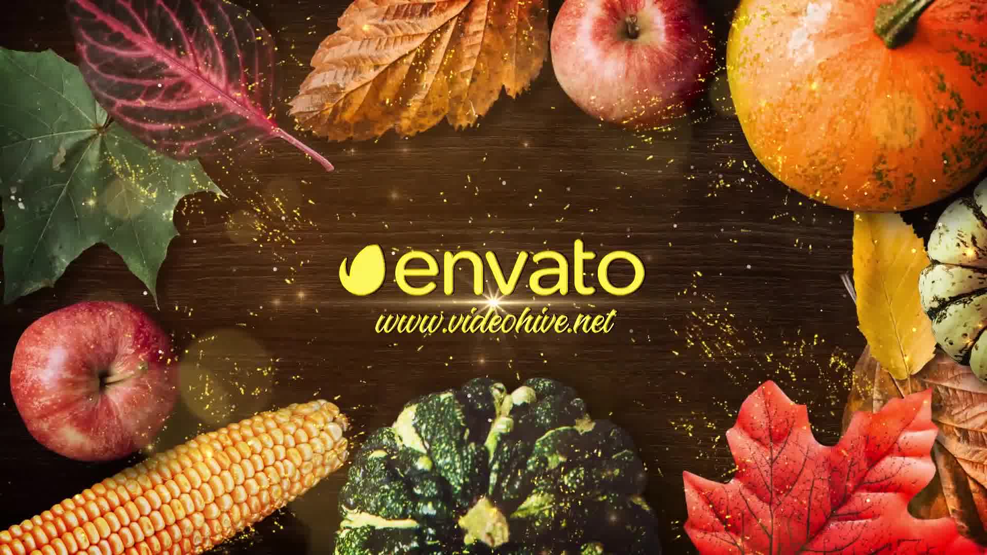 Thanksgiving Wishes DaVinci Resolve Videohive 34598387 DaVinci Resolve Image 10