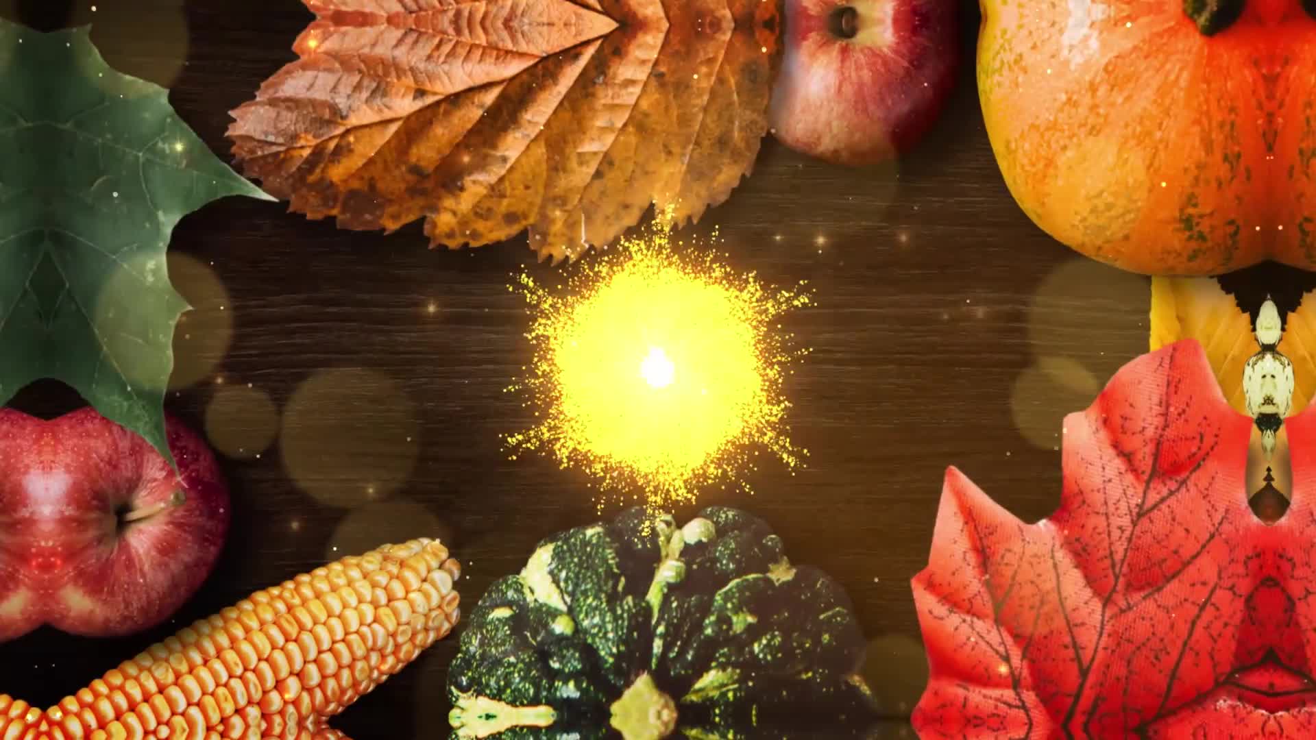 Thanksgiving Wishes DaVinci Resolve Videohive 34598387 DaVinci Resolve Image 2