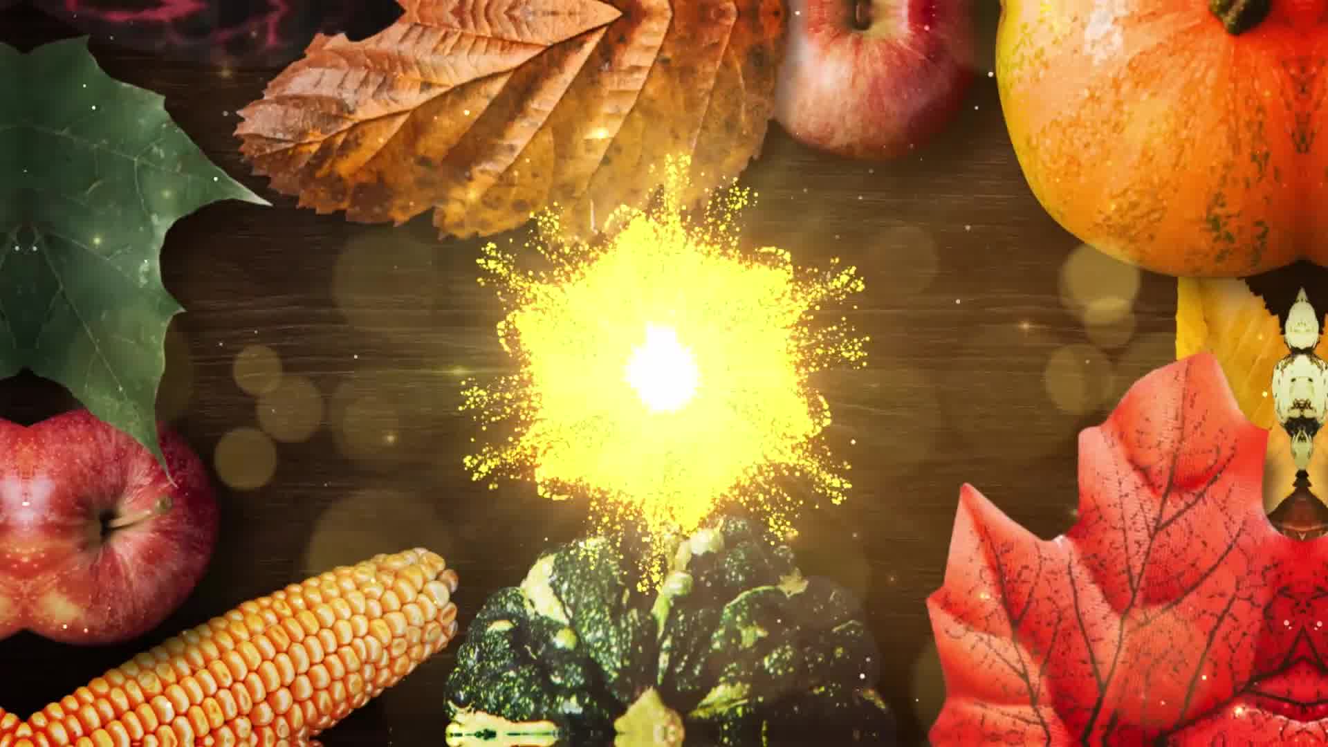 Thanksgiving Wishes DaVinci Resolve Videohive 34598387 DaVinci Resolve Image 9