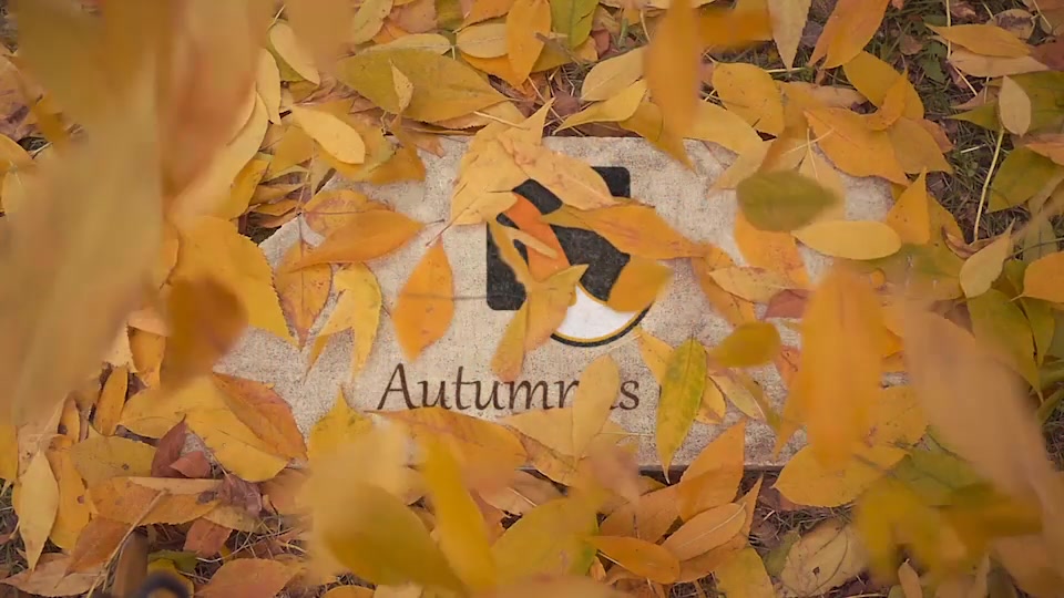 The Autumn Stone Logo Videohive 18600013 After Effects Image 3