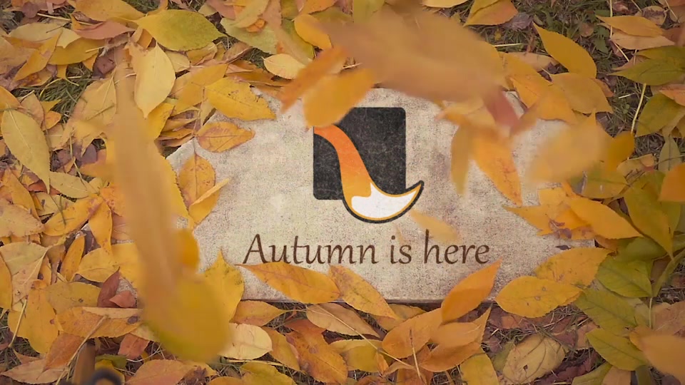 The Autumn Stone Logo Videohive 18600013 After Effects Image 4