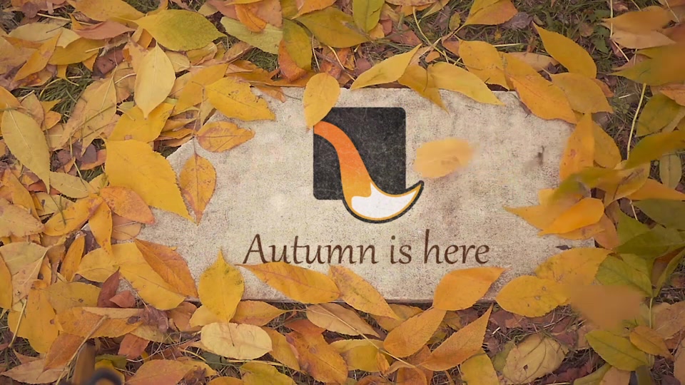 The Autumn Stone Logo Videohive 18600013 After Effects Image 5