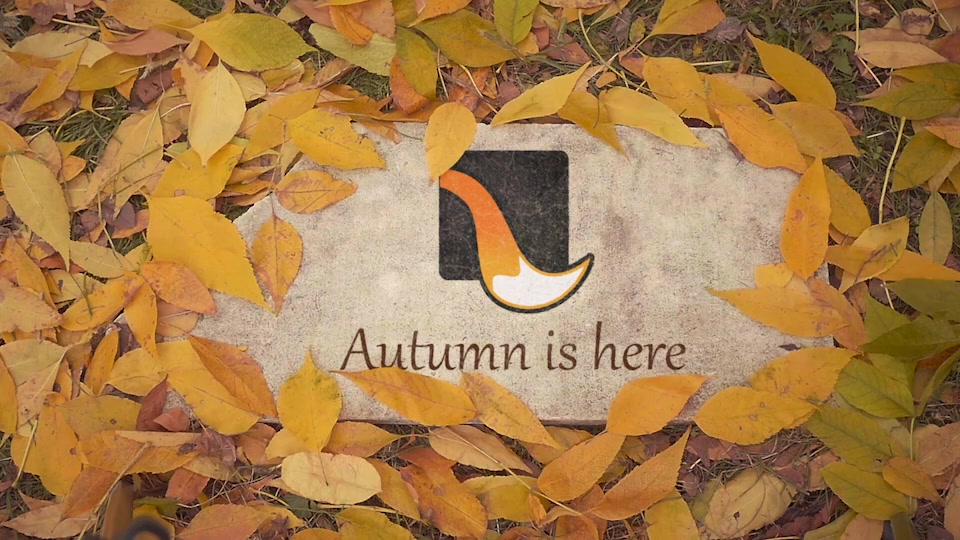 The Autumn Stone Logo Videohive 18600013 After Effects Image 6