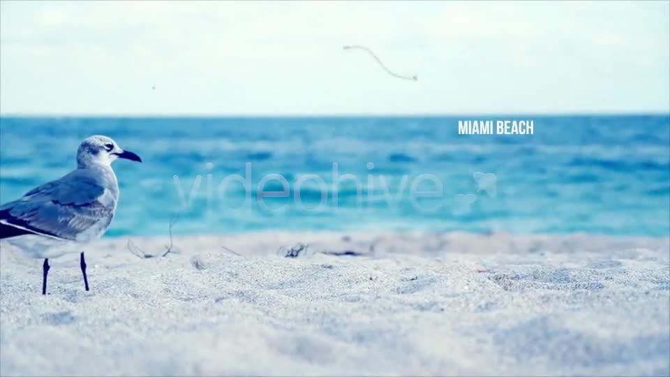 The Beach Project - Download Videohive 3770814