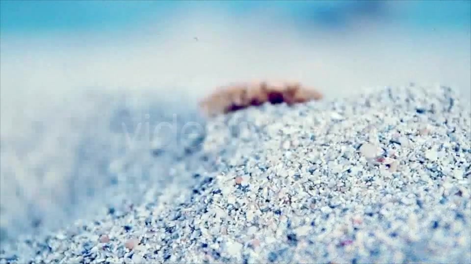The Beach Project - Download Videohive 3770814