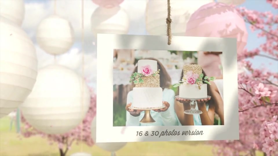 The Blossom Wedding Photo Gallery Slideshow - Download Videohive 14669458