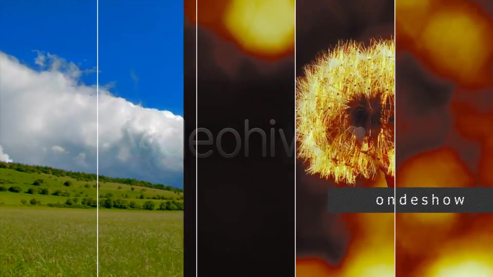 The Book Videohive 5002261 After Effects Image 3
