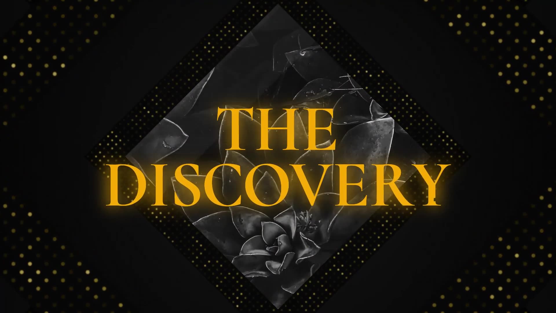 The Discovery Luxury Opener // DaVinci Resolve Videohive 33016351 DaVinci Resolve Image 2