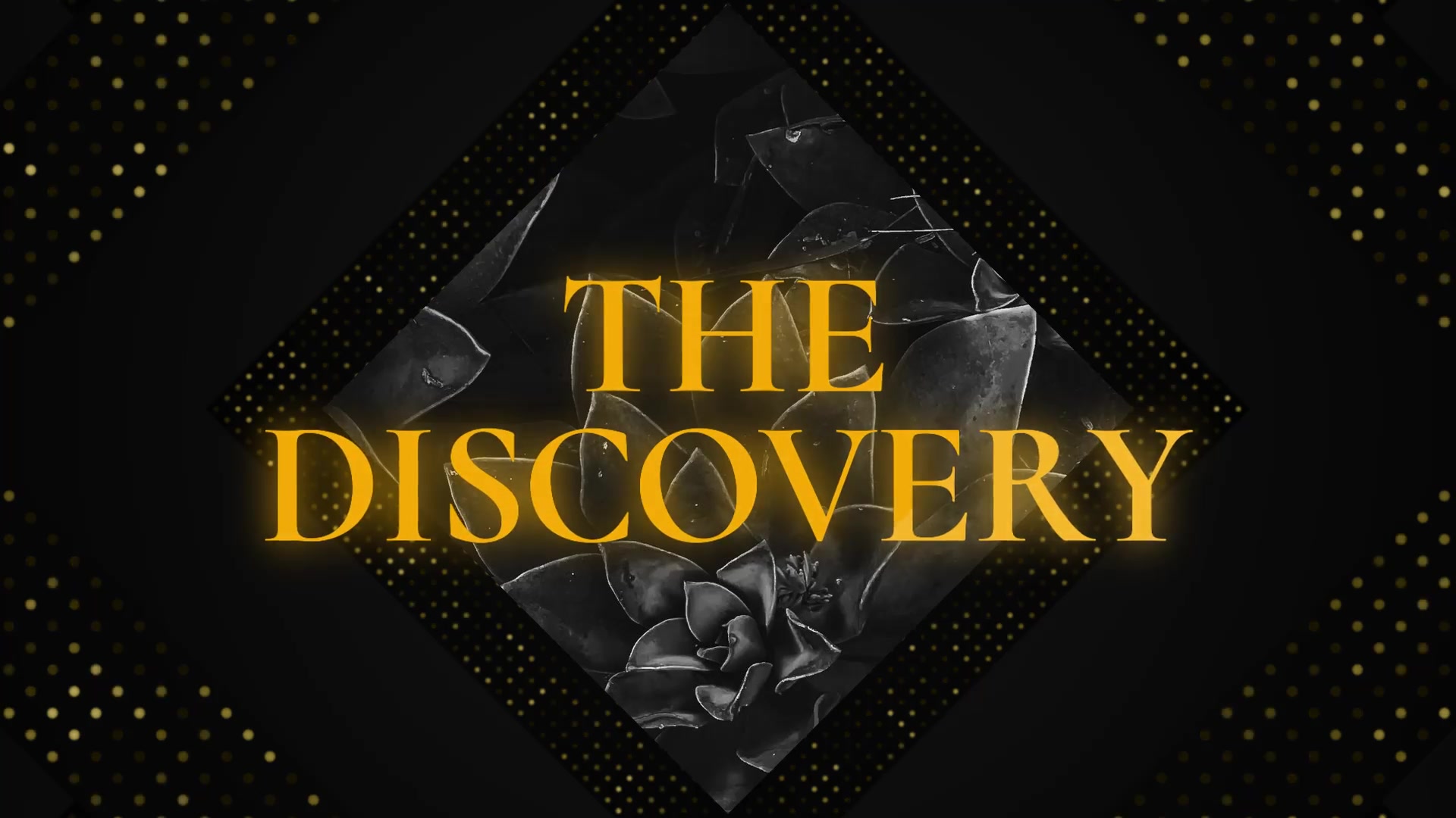 The Discovery Luxury Opener // DaVinci Resolve Videohive 33016351 DaVinci Resolve Image 3
