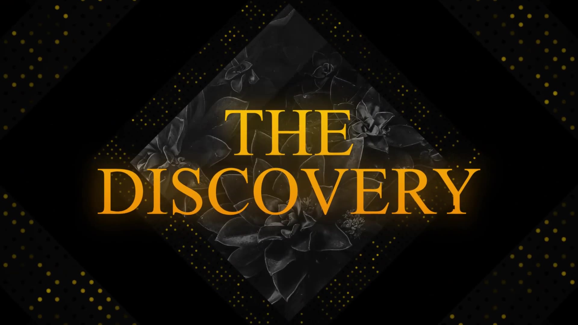The Discovery Luxury Opener Videohive 30958343 After Effects Image 2