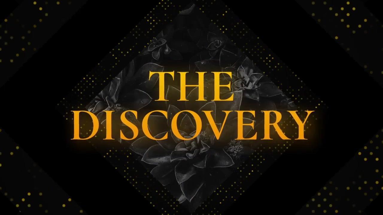 The Discovery Luxury Opener // Premiere Pro Videohive 33016285 Premiere Pro Image 3