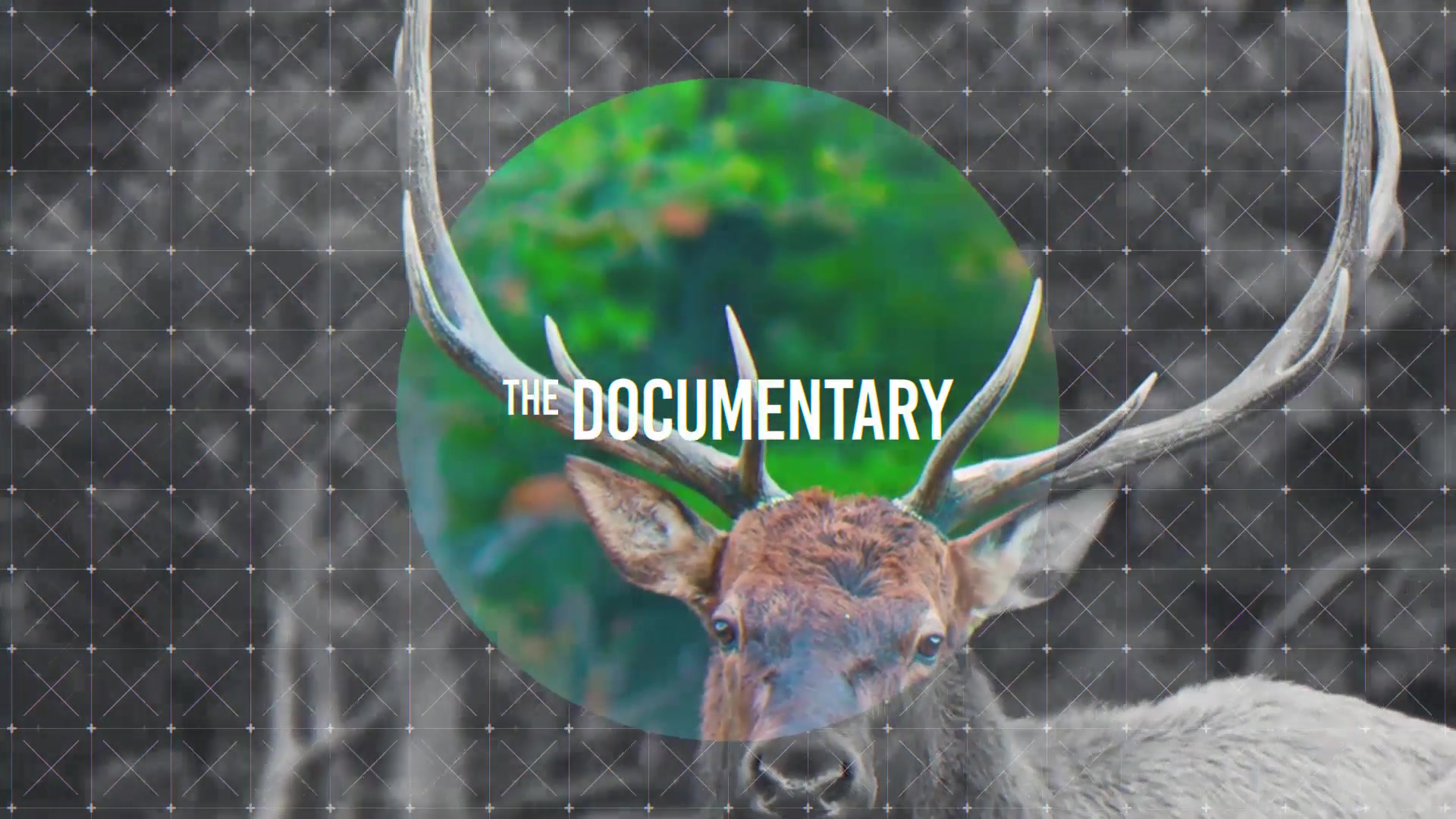 The Documentary Videohive 21896807 After Effects Image 4