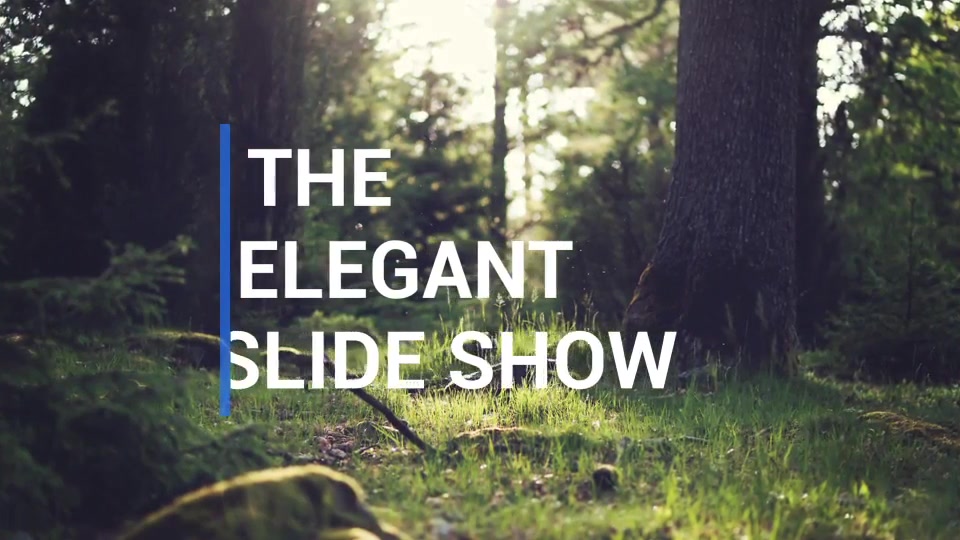 The Elegant Slideshow Videohive 10943109 After Effects Image 3