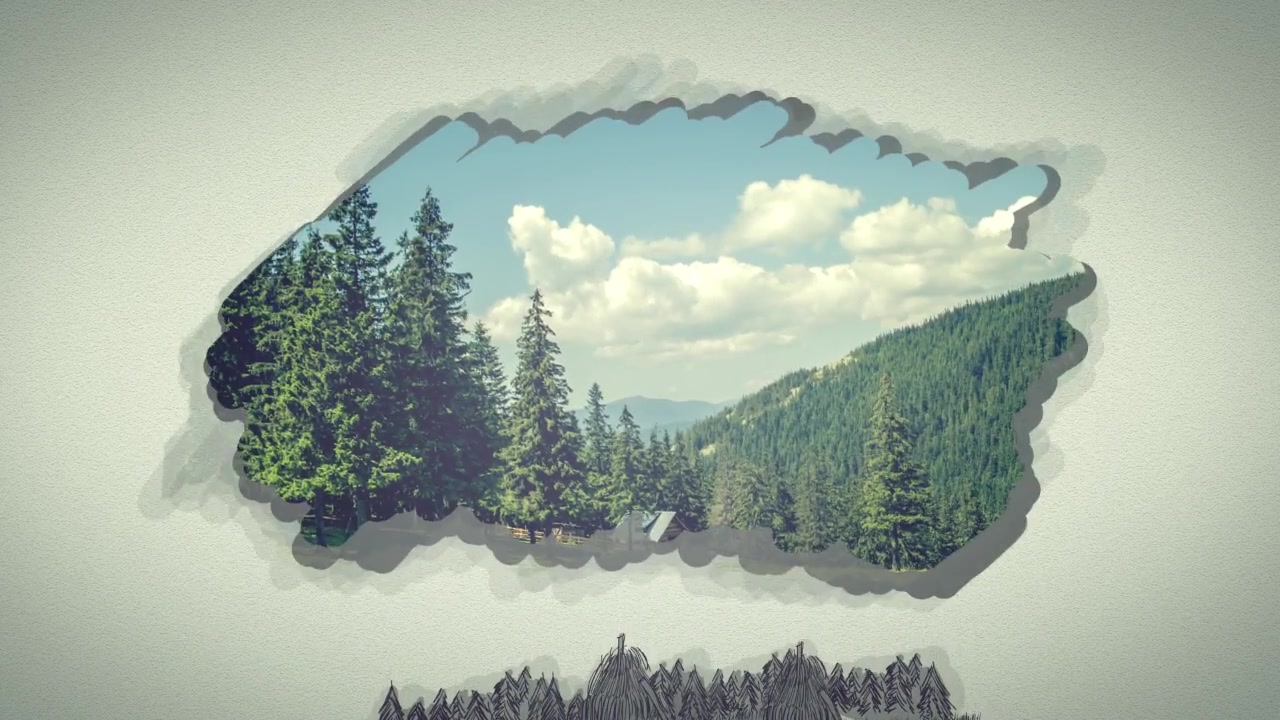The Forest Videohive 11720684 After Effects Image 11