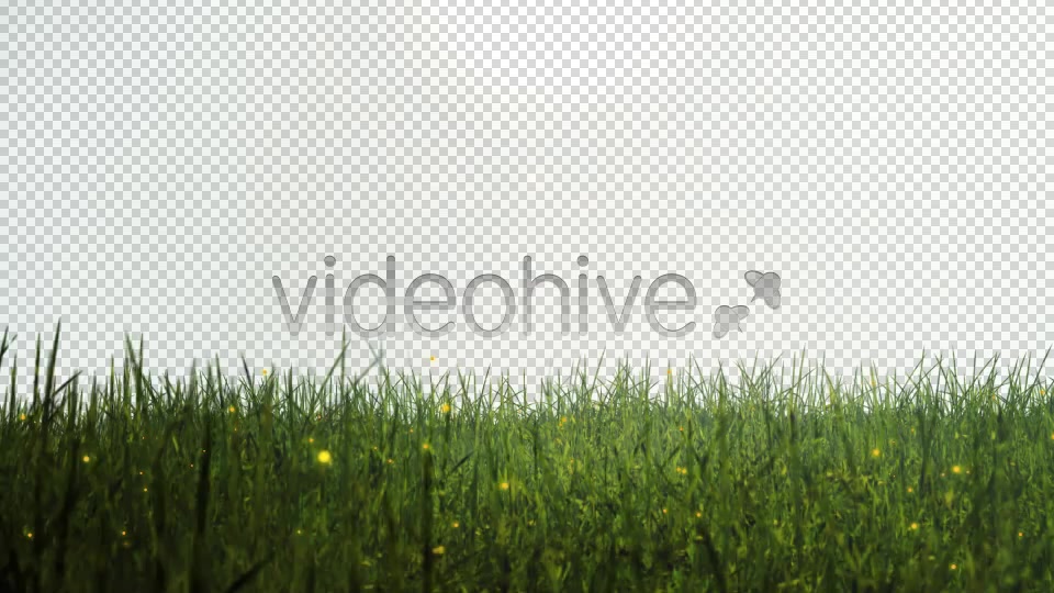 The Glass Animation Videohive 3159579 Motion Graphics Image 3