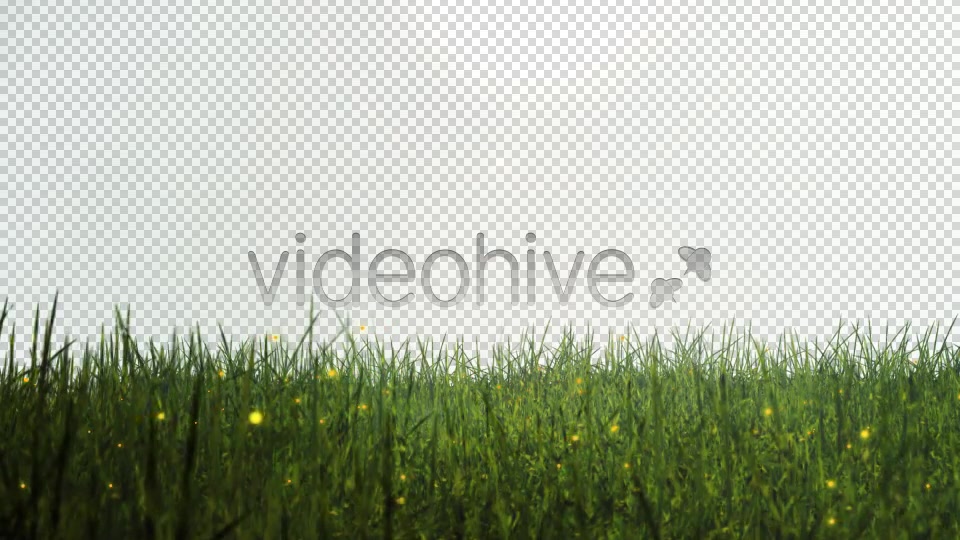 The Glass Animation Videohive 3159579 Motion Graphics Image 4