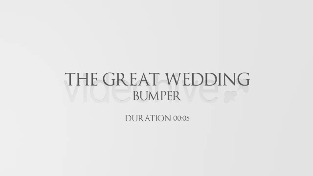 The Great Wedding Pack - Download Videohive 4972650