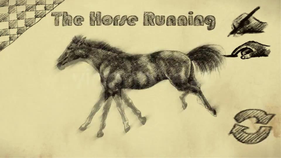 THE HORSE RUNNING - Download Videohive 1825944