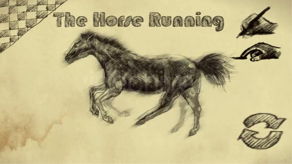 THE HORSE RUNNING - Download Videohive 1825944