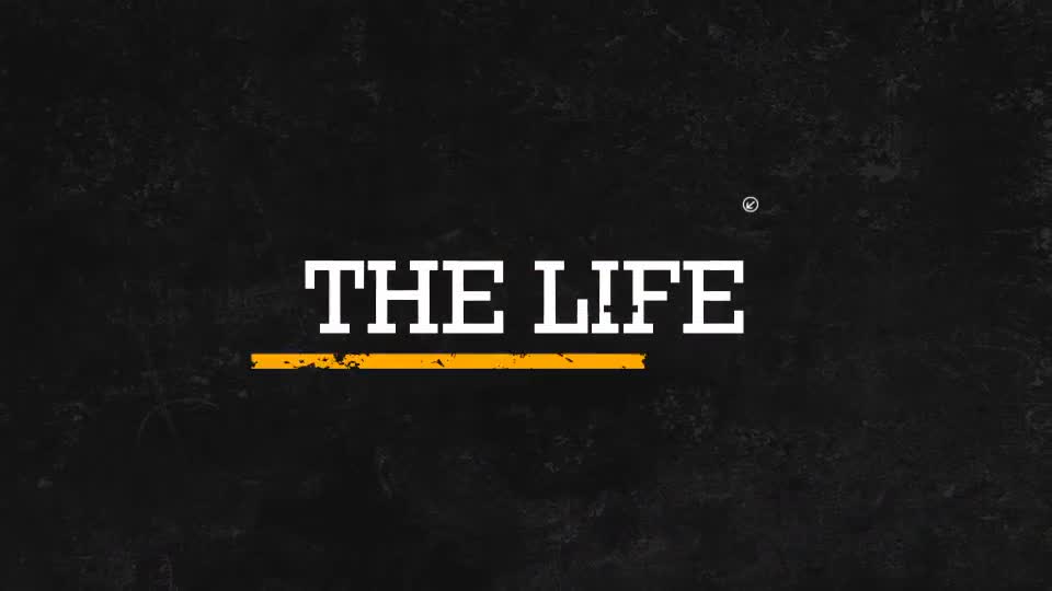 The Life Videohive 9060742 After Effects Image 1