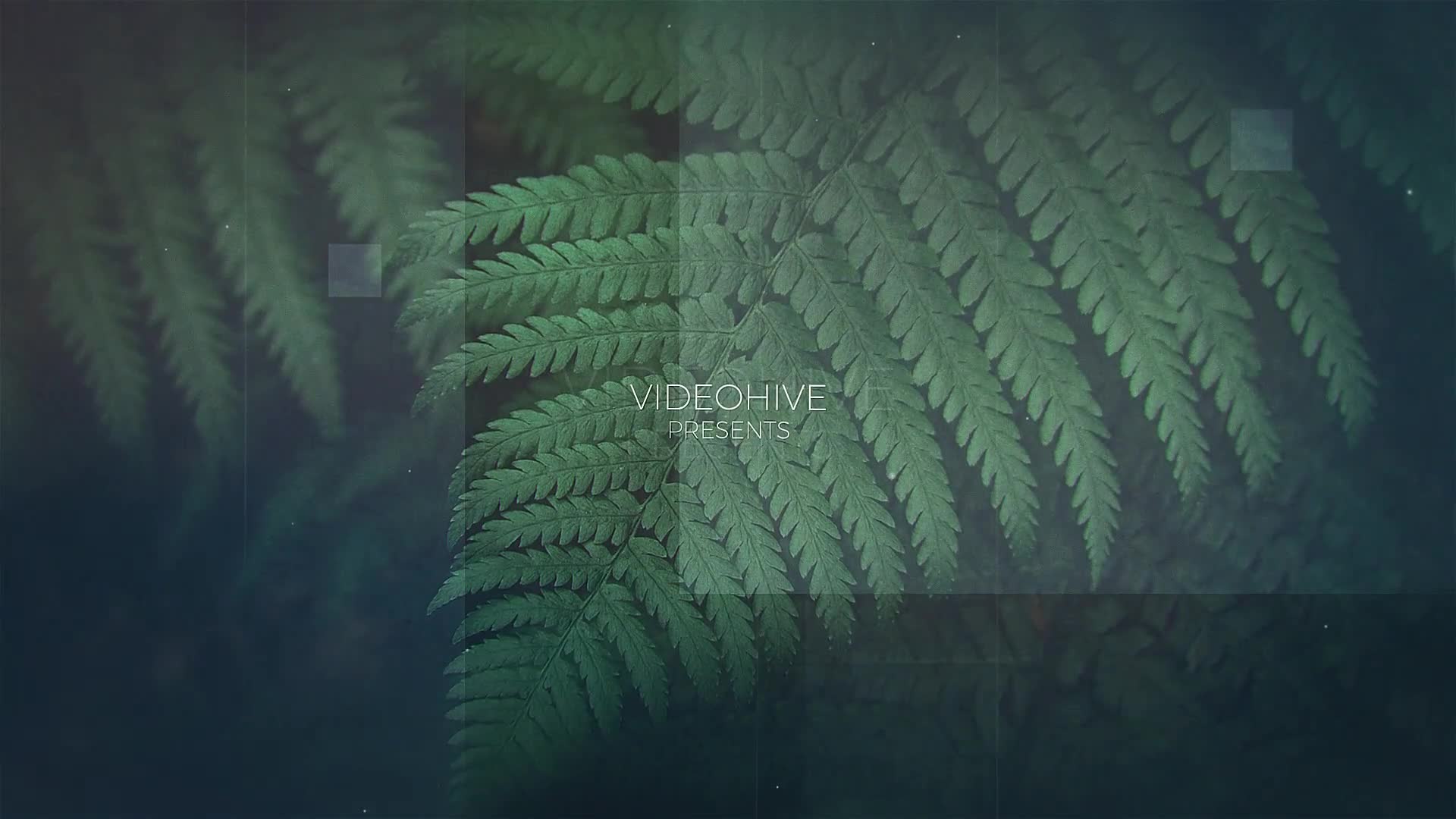 The Memories Minimal Slideshow Videohive 32663999 After Effects Image 1