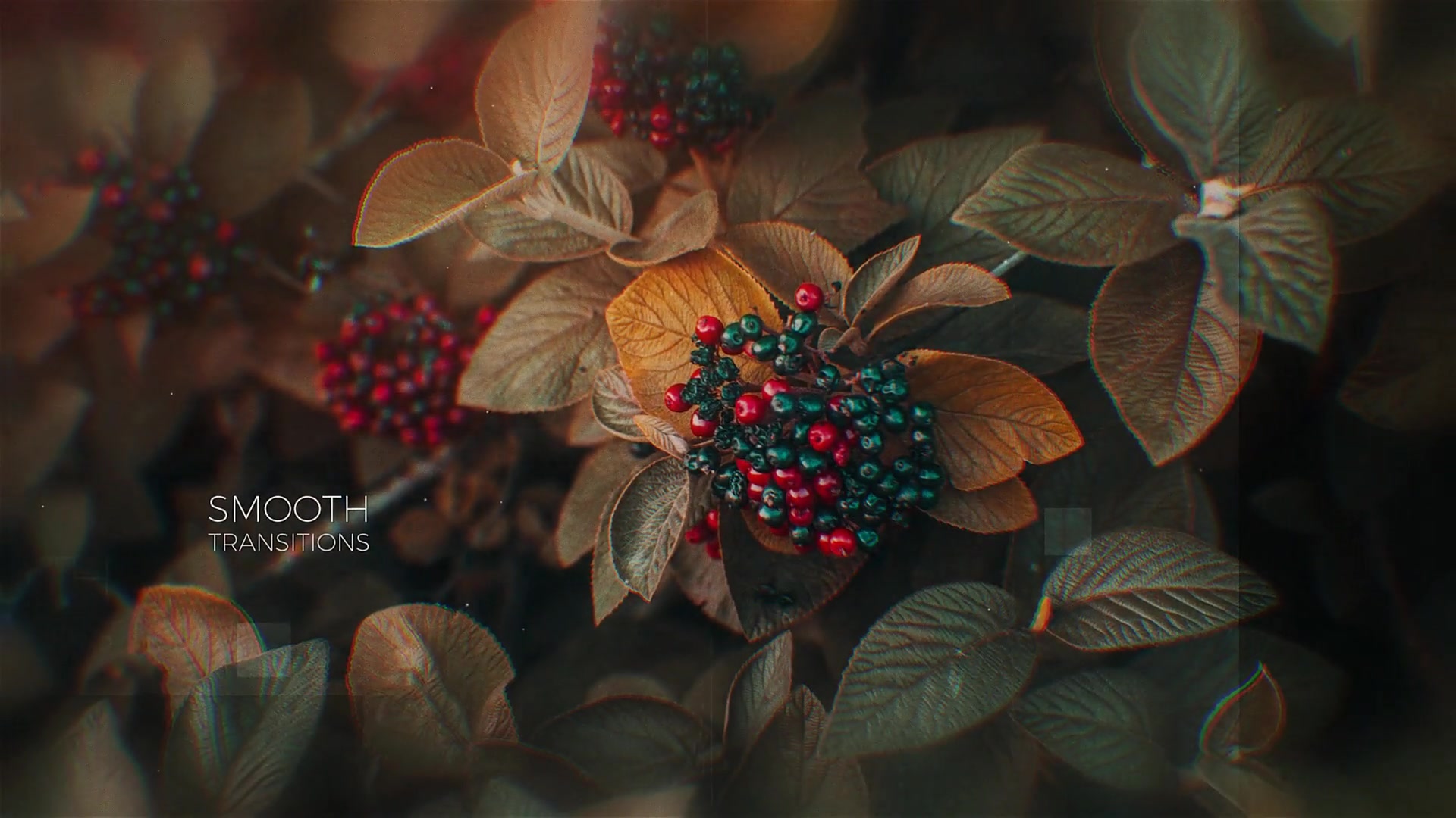 The Memories Minimal Slideshow Videohive 32663999 After Effects Image 5