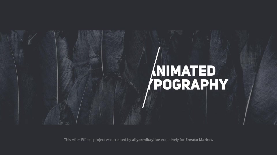 The Minimalist Animated Titles Videohive 31634818 After Effects Image 5