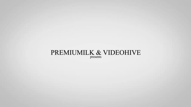 The Minimalist - Download Videohive 3992921