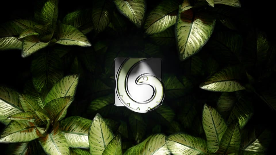 The Nature Mystery Videohive 34366232 After Effects Image 2