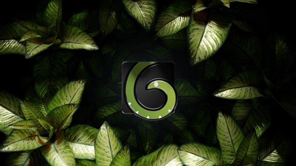 The Nature Mystery Videohive 34366232 After Effects Image 3