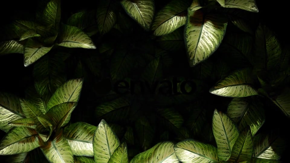 The Nature Mystery Videohive 34366232 After Effects Image 8