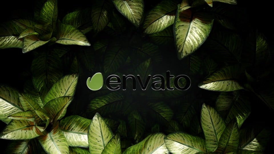 The Nature Mystery Videohive 34366232 After Effects Image 9