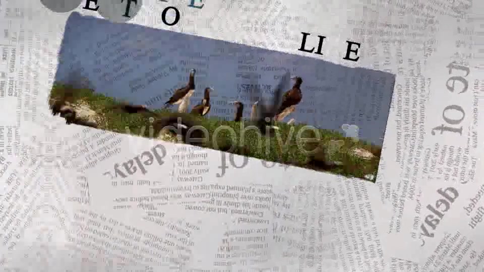 The Newspaper Project Videohive 163193 After Effects Image 9