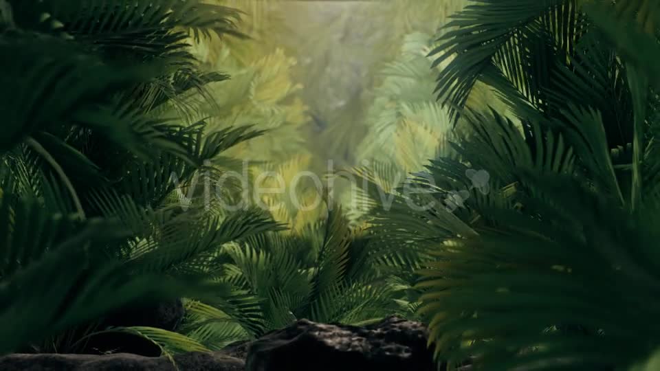 The Palms 3 - Download Videohive 19273801