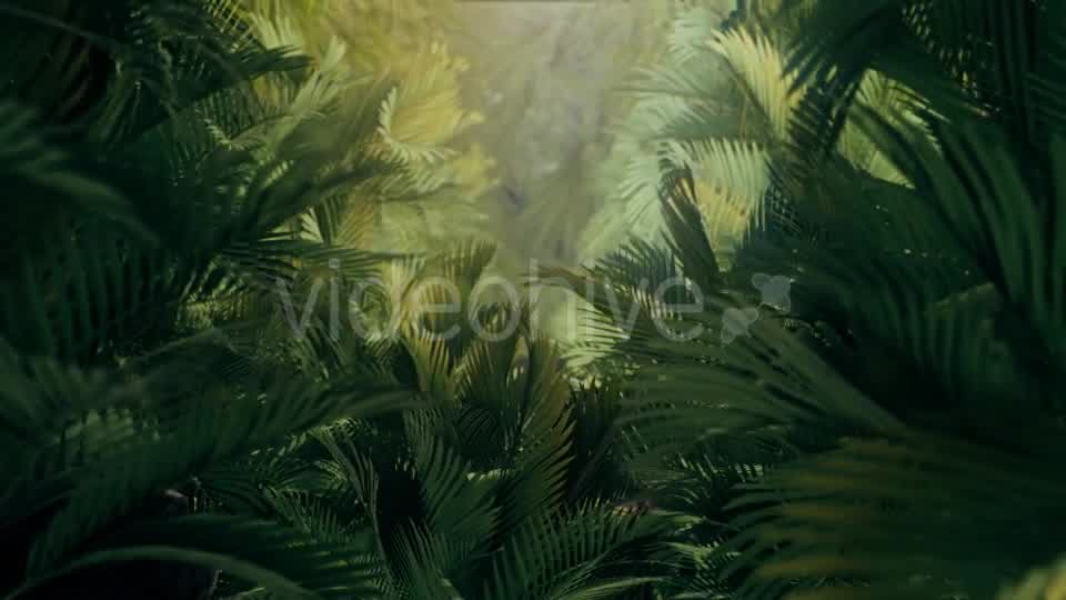 The Palms 3 - Download Videohive 19273801