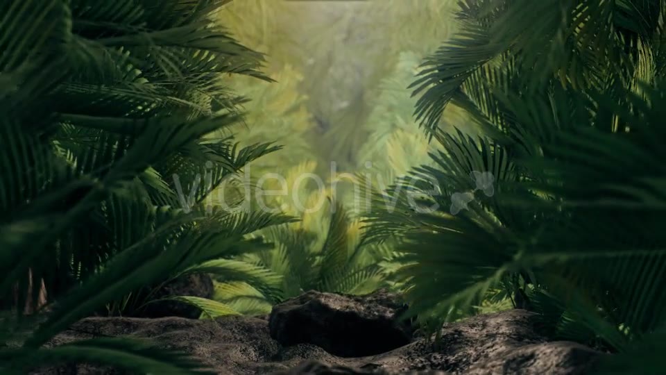 The Palms 3 - Download Videohive 19273801