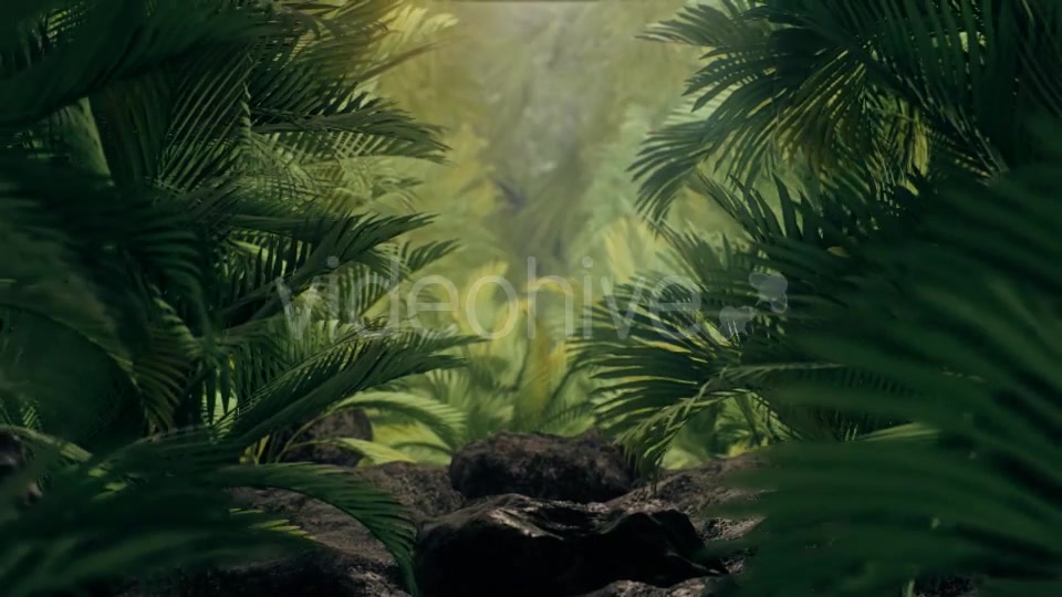 The Palms 3 - Download Videohive 19273801