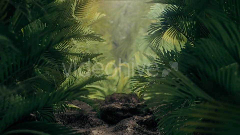 The Palms 3 - Download Videohive 19273801