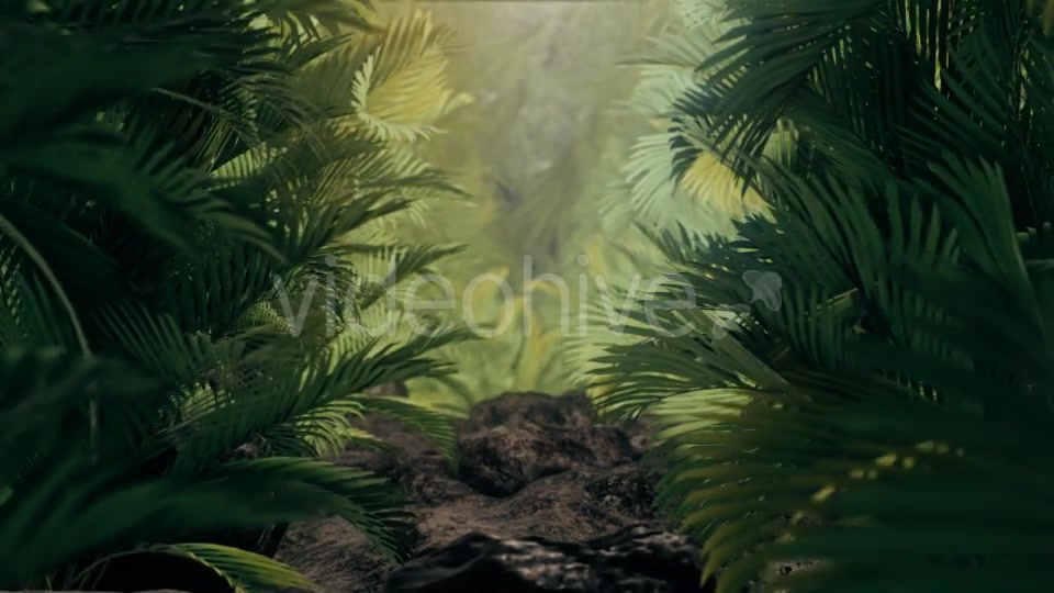 The Palms 3 - Download Videohive 19273801