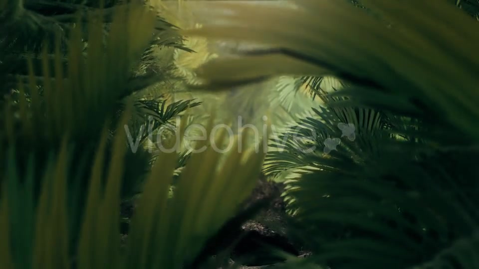 The Palms 3 - Download Videohive 19273801