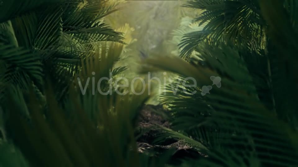 The Palms 3 - Download Videohive 19273801