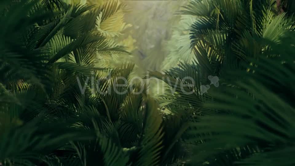 The Palms 3 - Download Videohive 19273801