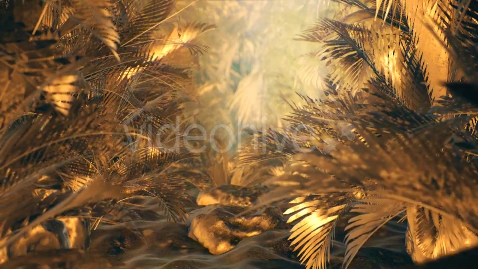 The Palms 6 - Download Videohive 19300344