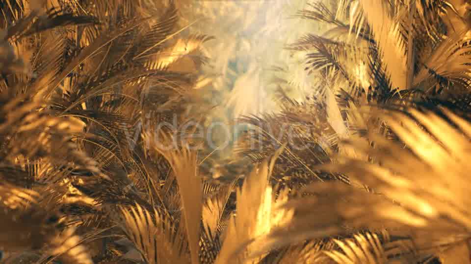The Palms 6 - Download Videohive 19300344