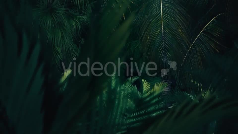 The Palms 8 - Download Videohive 19366729