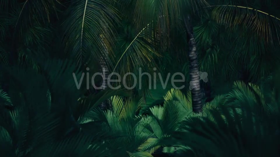 The Palms 8 - Download Videohive 19366729