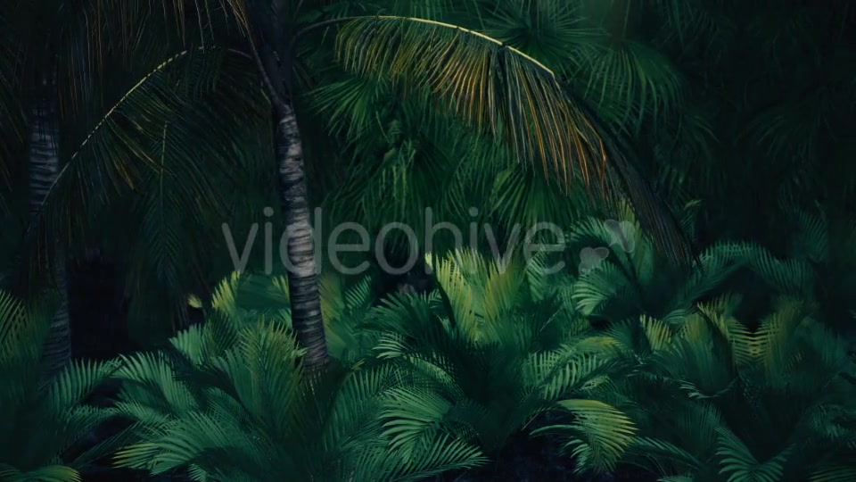 The Palms 8 - Download Videohive 19366729