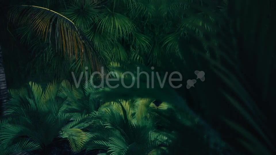 The Palms 8 - Download Videohive 19366729